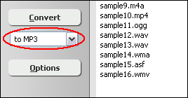 Choose Target File Format