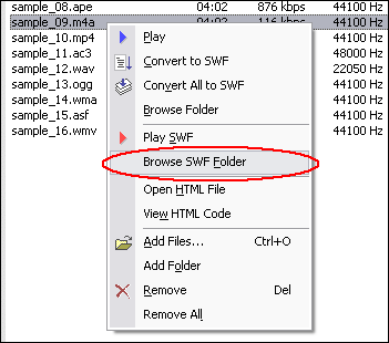 recool swf to video converter