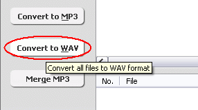 convert ds2 file to wav