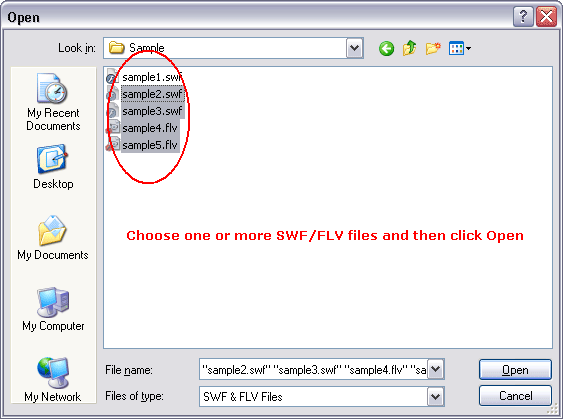 Choose one or more SWF/FLV files