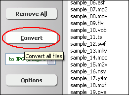 Click Convert